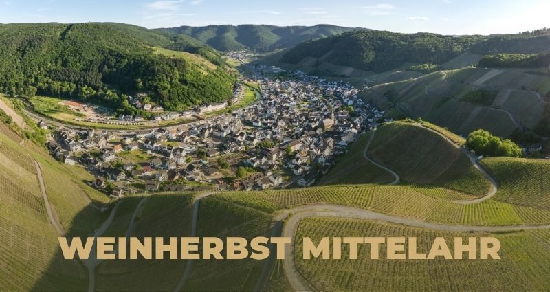 Fackelwanderung.jpg