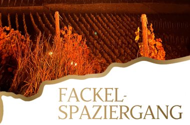 Fackelspaziergang_auen